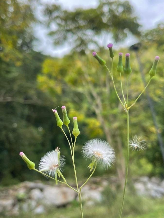 Naramountainkhaoyai รถบ้าน Ban Tha Chang Екстериор снимка